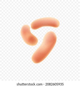 Set of symbiotic human bacteria realistic isolated on white background. Probiotic microorganisms colony. Human intestinal microflora concept. Realistic vector illustration