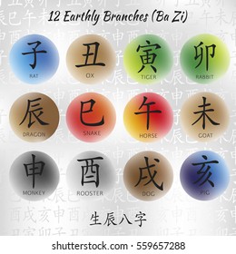 Set of symbols from chinese hieroglyphs. Translation of 12 zodiac animals branch, feng shui signs hieroglyph: Rat, Ox, Tiger, Rabbit, Dragon, Snake, Horse, Goat, Monkey, Rooster, Dog, Pig