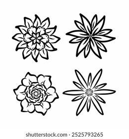 set of symmetric flower design elements vector illustration 