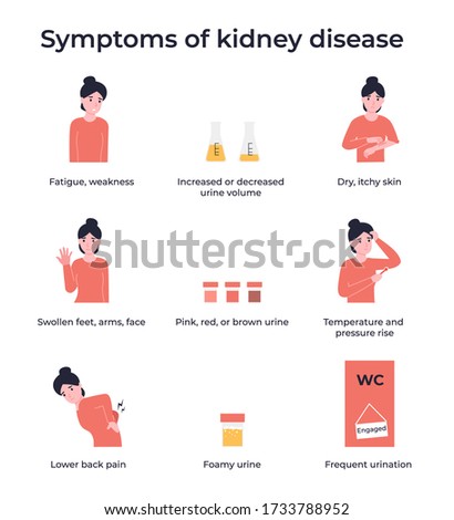 Set symptoms of kidney disease. Flat vector cartoon modern illustration.