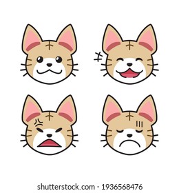 Set of tabby cat faces showing different emotions for design.