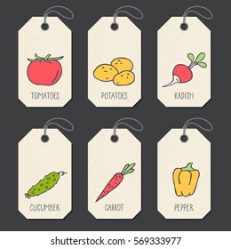 Set of tags or label templates with hand drawn vegetable. Vector design elements for agriculture and food industry