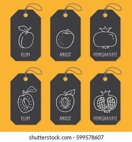 Set of tags or label templates with hand drawn fruit. Vector design elements for agriculture and food industry