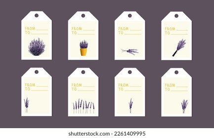 Set of tags with lavender. A branch of lavender