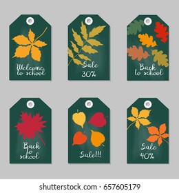 Set of tags with tree leaves. School background. Vector illustration.