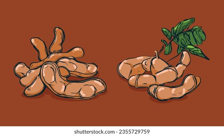 Set von Tamarinden Früchten, Vektorgrafik in einem Skizzenstil, handgezeichnete Flachskizze, bunte Früchte mit Schatten und Licht einzeln auf buntem Hintergrund.