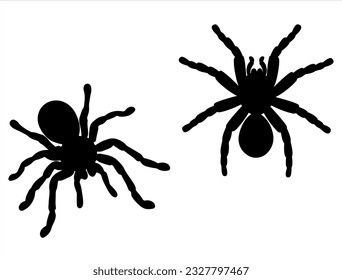 Set of Tarantula Silhouette Vector Art