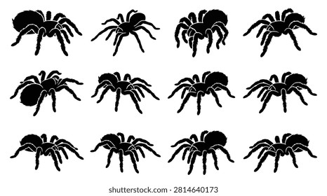 Set of tarantula spider silhouettes in various poses, vector illustration of arachnids