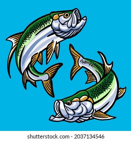 Set of Tarpon fish for gamefish collection