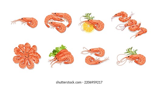 Set of tasty boiled shrimps on white background