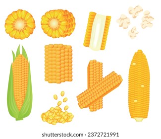 Set of tasty corn on white background