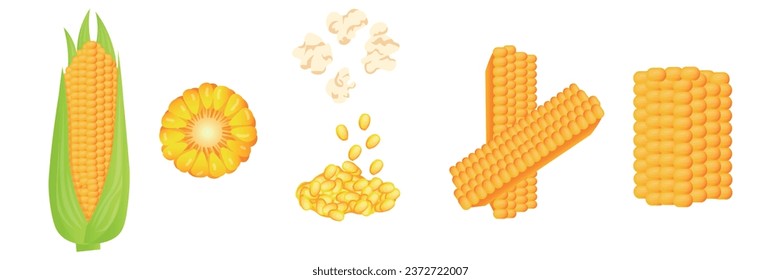 Set of tasty corn on white background