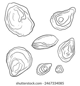 Set of tasty delicious oyster shell with pearl in black isolated on white background. Hand drawn vector sketch illustration in doodle vintage engraved style. Fresh seafood, nutritious, French cuisine.