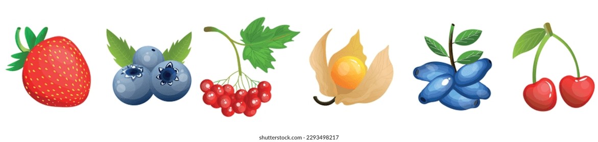 Set of tasty fruits and berries on white background