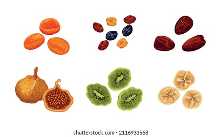 Set of tasty and sweet dried fruits on white background. Vector dried peach, raisin, date, fig, kiwi and banana in cartoon style.