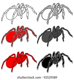 Set tattoo of black widow isolated on white background.