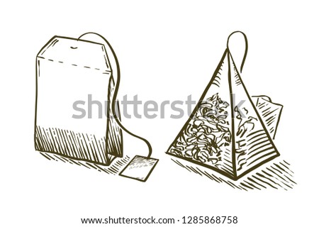Set of tea bag in engraving style. Hand drawn vector illustration. Pyramid shaped bag of tea.