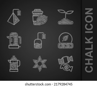 Set Tea bag, Flower, Candy, leaf, French press, Electric kettle,  and  icon. Vector