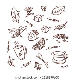 set tea cup sketch design hand draw background