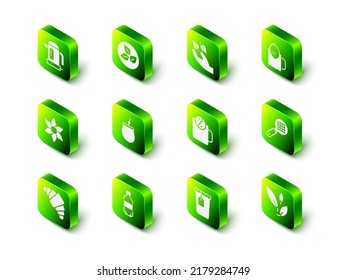 Set Tea leaf, in hand, Cup of tea with lemon, strainer handle, time, bag and Bottle water icon. Vector