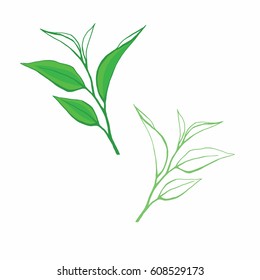 Set of tea leaves in hand drawn style. Tea leaves as design elements on white background