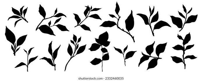 Set of tea leaves silhouettes.Vector graphics.