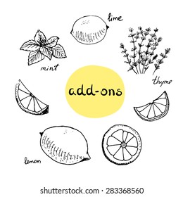 Set of tea and other drinks add-ons/ Hand drawn vector illustration