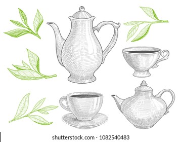 Set of teapots and cups and green tea tree leaf. Hand drawn illustration with tea leaves and tableware  for menu design in retro style. Vector elements isolated on white.