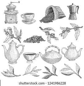 Set of teapots and tea tree leaves and coffee set: branch witch coffee beans and bag. Hand drawn vector illustration.
