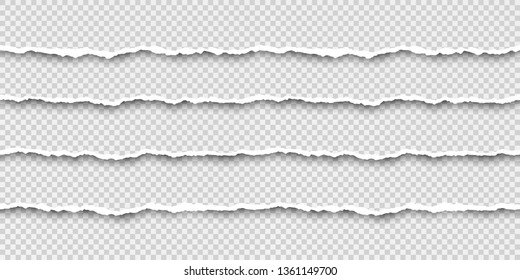 Set of tear seamless paper stripes. Paper texture with damaged edge. Vector illustration isolated on transparent background