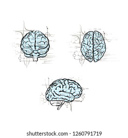 Set of technical human brains in different views, left brain functions concepts isolated on white