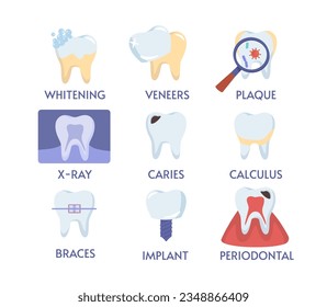 Set of teeth procedures. Medical infographics and materials. Caries, calculus, implant and braces. Oral hygiene and dentistry. Cartoon flat vector collection isolated on white background