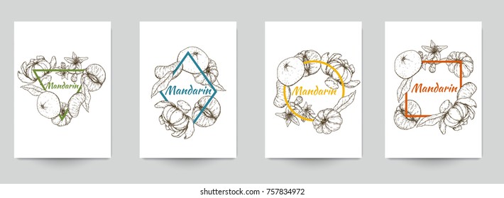 Set of template for branding, cover package, identity, banner, promote, card, label with mandarin in retro vintage hand drawn, sketches, engraved style. Modern background. Vector illustration.