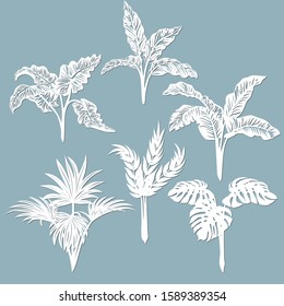 Set template for cutting. Palm leaves pattern. Laser cut. Vector illustration.