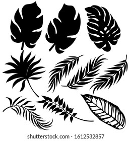 Set template for cutting. Palm leaves pattern. Laser cut. Vector illustration.