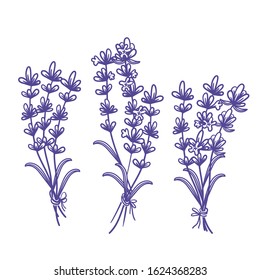 Set of template design of beautiful abstract lavender flowers bouquet. Vector illustration