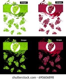 Set template of grapes fruit