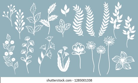 Set template for laser cutting and Plotter. Flowers, leaves for decoration. Vector illustration. Sticker set. plotter and screen printing. serigraphy.
