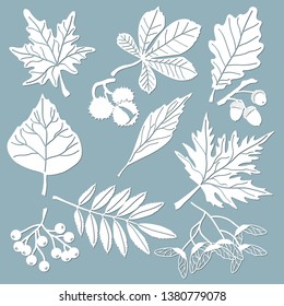 Set template for laser cutting and Plotter. Oak, maple, Rowan, chestnut, berries, acorn, seeds, birch, ash. Leaves for decoration. Vector illustration. Sticker set. Plotter and screen printing.