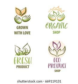 Set of template logo for shop, market with grown with love natural product plant and vegetable. Sketch image of sun and leaf. 