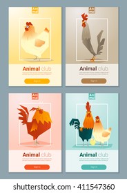 Set of templates with chicken for web design, vector, illustration