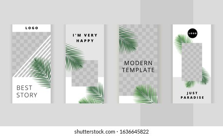 Set templates for design of social networks, story and print with windows for images. 
Green tropic fan leaf on white background. 
Beautiful palm branches. 
Cozy light design.