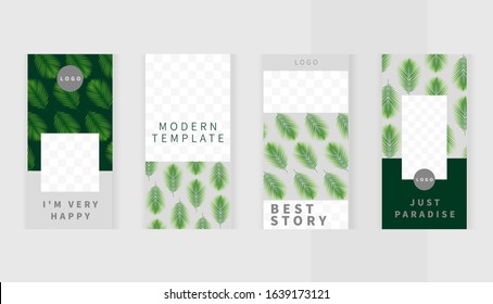 Set templates for design of social networks, story and print with windows for images. Green tropic fan leaf background. Beautiful palm branches. Cozy light design.