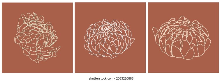 Set of templates with flowers in minimal linear style. Botanical icon. Card design. 