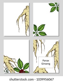 Set of templates with hand drawn Panax Ginseng. Vector illustration.