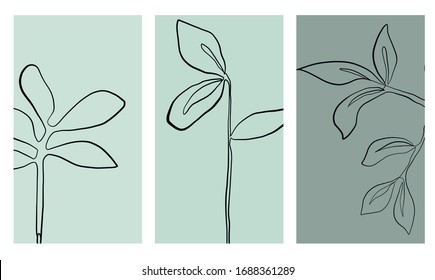 Set templates with leafs. Graphic branch. Design textures for social media. 