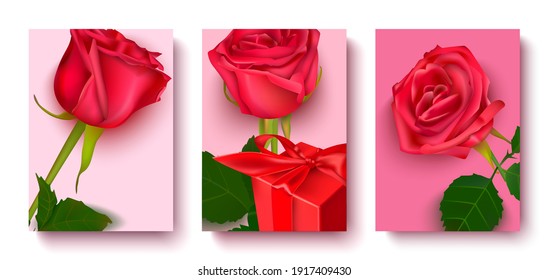 Un conjunto de plantillas hechas de rosas realistas, una caja de regalo.Aplicable para el diseño de oficinas, locales.