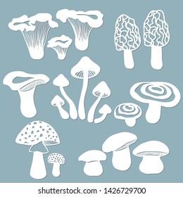 Set templates mushrooms for to cut with a laser from paper. White mushroom, the fly agaric, chanterelles, volnushki, mushrooms, morels. For decoration and design. Laser cut. Vector illustration. Patte