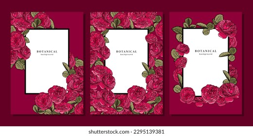 Conjunto de plantillas con rosas de té rosadas sobre fondo rojo oscuro. Patrón con rosas y hojas silvestres. Diseño de marco con elementos florales para banner, afiche, portada. Borde de flores. Rosas de jardín lineal de vintage