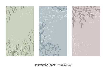 Set of templates with plant elements. Graphic leaves, branches, herbs. Create textures for social networks. Vector illustration.